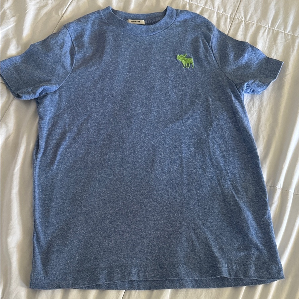 Abercrombie Kids Blue Kids Tee with Green Moose